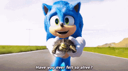 Film Sonic The Hedgehog Felt So Alive GIF