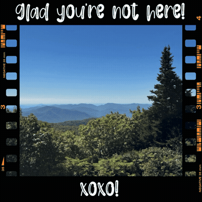 Film Strip Mountains Trees Glad You're Not Here GIF