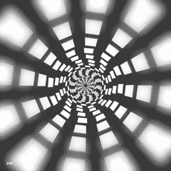 Film White And Black Optical Spiral Illusion  GIF