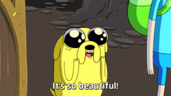 Fin The Dog Its So Gorgeous GIF