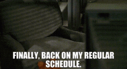 Finally Back On My Regular Schedule Garfield GIF