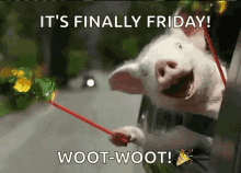 Finally Friday Woot Woot GIF
