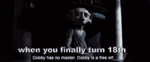 Finally Turning 18 Dobby Elf Harry Potter GIF