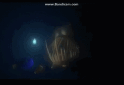 Finding Nemo GIF