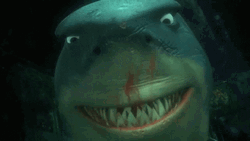 Finding Nemo Bruce Shark Thats Good GIF