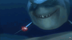 Finding Nemo Bruce The Shark  GIF