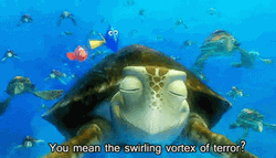Finding Nemo Crush You Mean The Swirling Vortex GIF