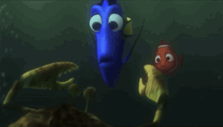 Finding Nemo Dory Blue Tang Fish GIF