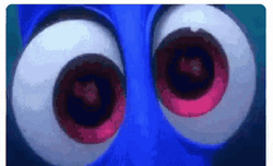 Finding Nemo Dory Googly Eyes GIF
