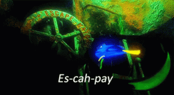 Finding Nemo Escape Dory GIF