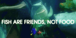 Finding Nemo Fish Are Friends Not Food GIF