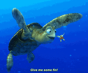 Finding Nemo GIF
