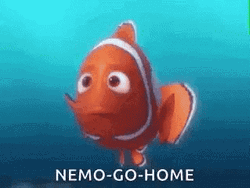 Finding Nemo Go Home GIF