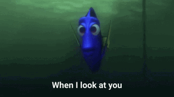 Finding Nemo I Can Feel It GIF