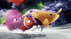 Finding Nemo Im Obnoxious GIF