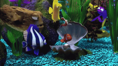 Finding Nemo Jacques Cleaning Clownfish GIF