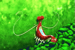 Finding Nemo Jacques I Am Ashamed GIF