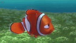 Finding Nemo Marlin The Clown Fish GIF