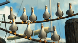 Finding Nemo Mine Seagull Disney GIF