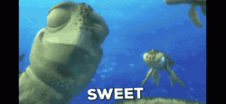 Finding Nemo Sweet Turtle Totally GIF