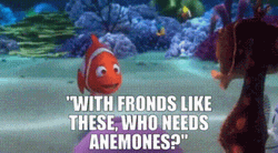 Finding Nemo Who Needs Anemones GIF
