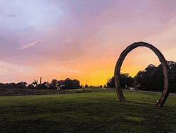 Fine Art NC Museum Image Compilation GIF