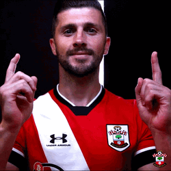 Finger Pointing Go Southampton FC GIF