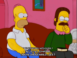 Finger Pointing Ned Flanders The Simpsons GIF