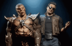 Finish Him Fatality GIF