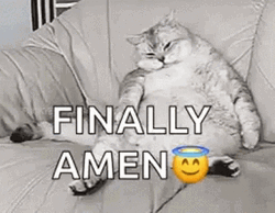 Finished Finally Fat Cat Sigh Meme GIF