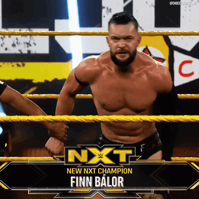 Finn Balor Is The New Nxt Champion And Is Shaking Hands With Another Wrestler GIF