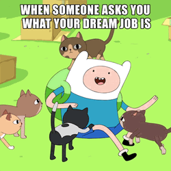 Finn Drowning In Cats Adventure Time GIF