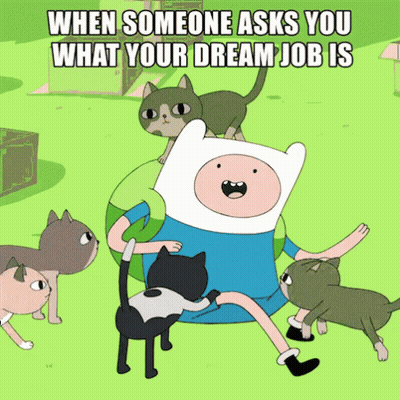 Finn Surrounded By Cats When Someone Asks You What Your Dream Job Is GIF