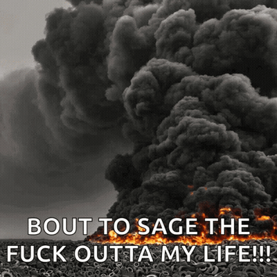 Fire Bout To Sage The Fuck Outta My Life GIF