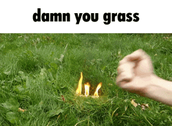 Fire On The Grass GIF
