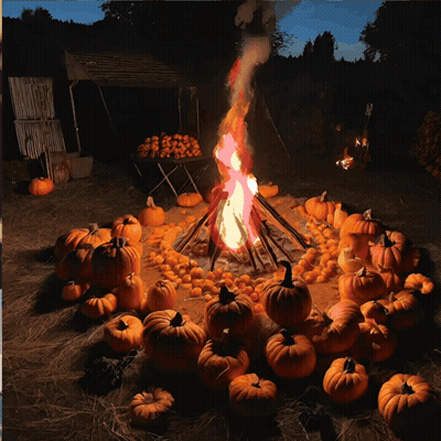 Fire Surrounded By Pumpkins In Field At Night GIF