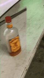 Fireball Empty Cinnamon Whiskey  GIF
