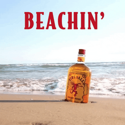 Fireball Happy Hour Beach GIF