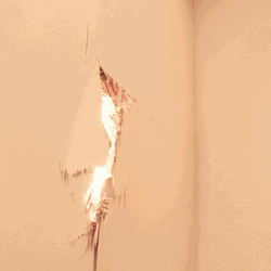 Fireball Heres Whisky  GIF