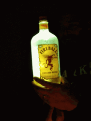 Fireball Holding Empty Bottle GIF