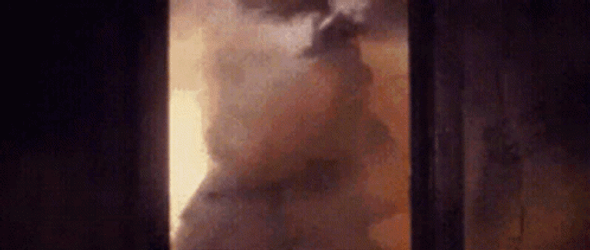 Firefighter Rescued Question Hound The Dog GIF