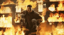 Firefighter Rescued The Two Dogs GIF