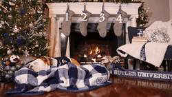 Fireplace And Dog
