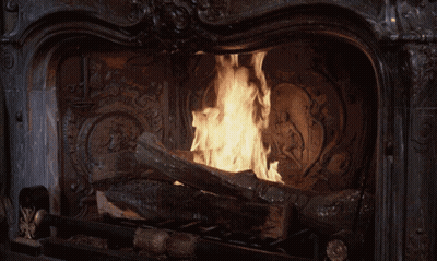 Fireplace With Logs And Flames GIF