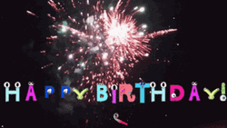 Fireworks 4Th Of July Birthday GIF