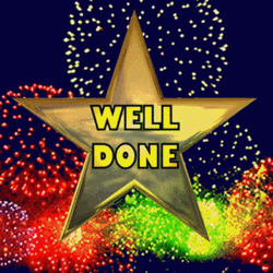 Fireworks Celebration Well Done Congratulations GIF
