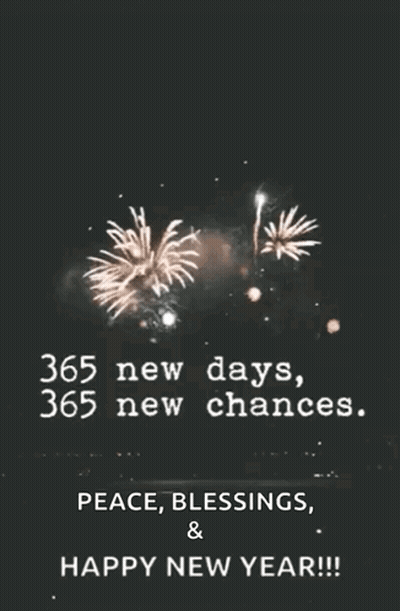 Fireworks Display 365 New Days 365 New Chances Peace Blessings Happy New Year GIF