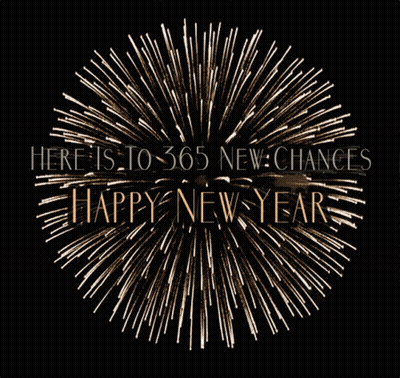 Fireworks Display Here Is To 365 New Chances GIF