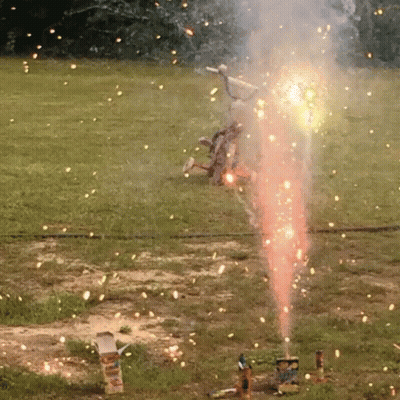 Fireworks Display In Field With Box In Foreground GIF