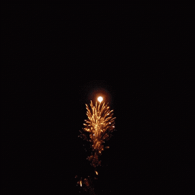 Fireworks Display In Night Sky GIF
